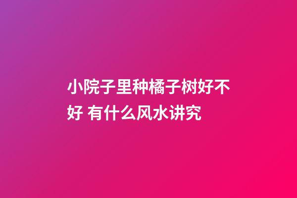 小院子里种橘子树好不好 有什么风水讲究